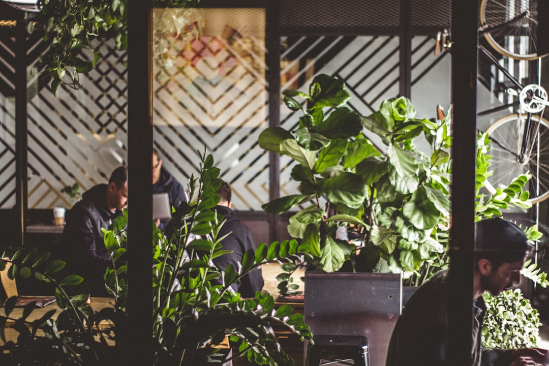découvrez les jardins communautaires, des espaces verts collaboratifs qui favorisent le partage, l'échange et la culture de plantes. impliquez-vous dans votre communauté tout en cultivant votre propre potager, apprenez des techniques de jardinage durable et renforcez les liens sociaux dans votre quartier.