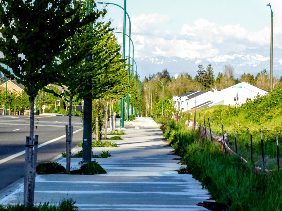 découvrez les initiatives de verdissement communautaire qui favorisent un environnement plus sain et durable grâce à la participation locale et aux projets écologiques.