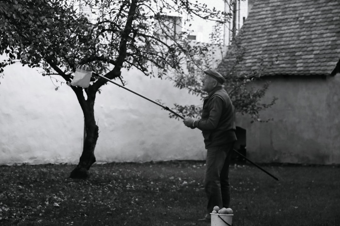 souffleurs de jardin sans fil puissants et légers, parfaits pour un nettoyage rapide et efficace de votre extérieur sans contrainte de câble.