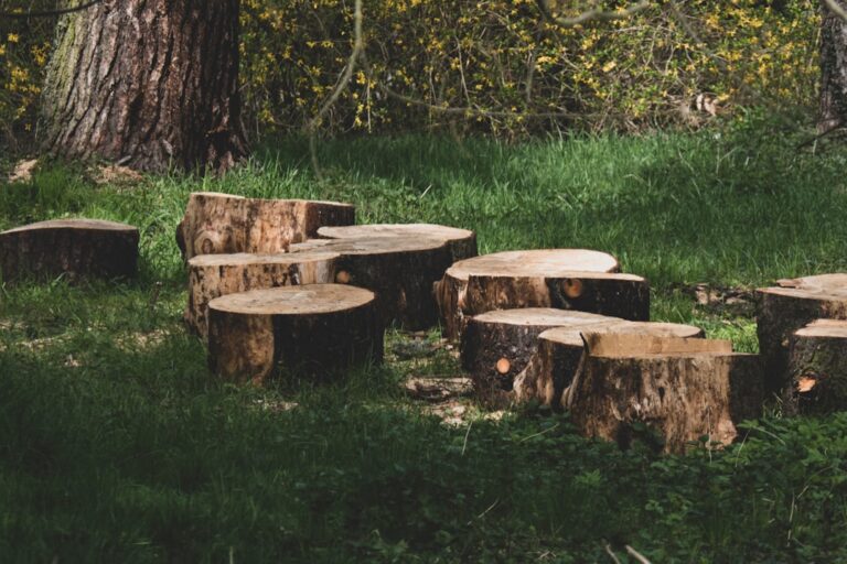 découvrez nos solutions de découpe précises et efficaces pour tous vos besoins industriels et artisanaux.