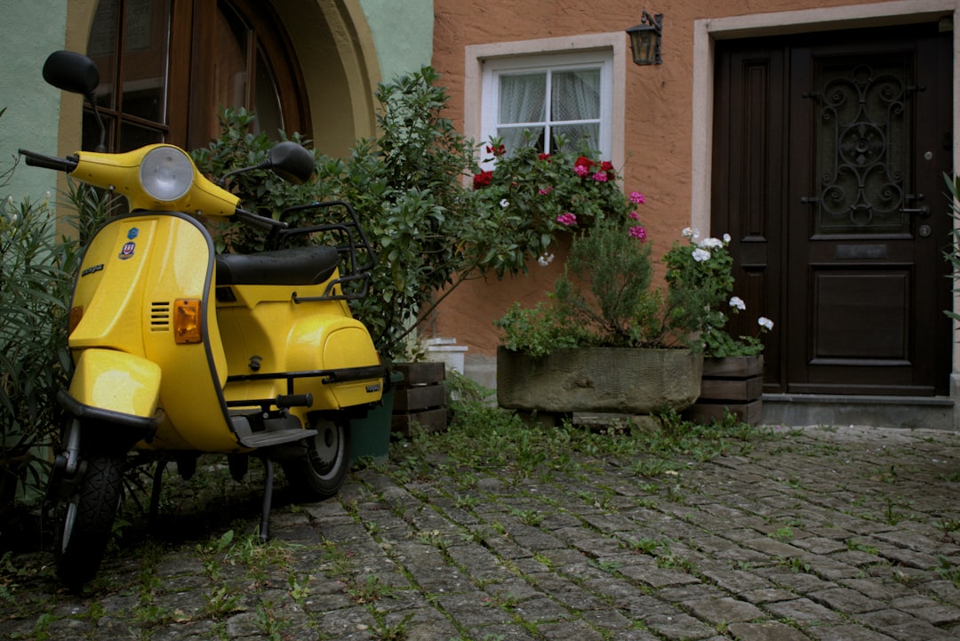 découvrez les tendances 2025 en allemagne : jardinage diy, animaux de compagnie et innovations pour un mode de vie naturel et durable.