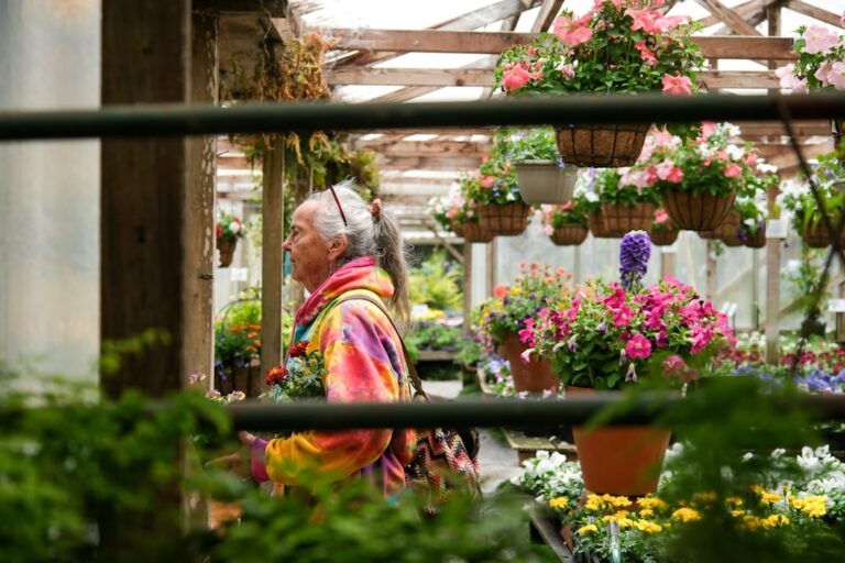 découvrez les fermetures temporaires des magasins de bricolage spécialisés en jardinage et planifiez vos achats en conséquence.