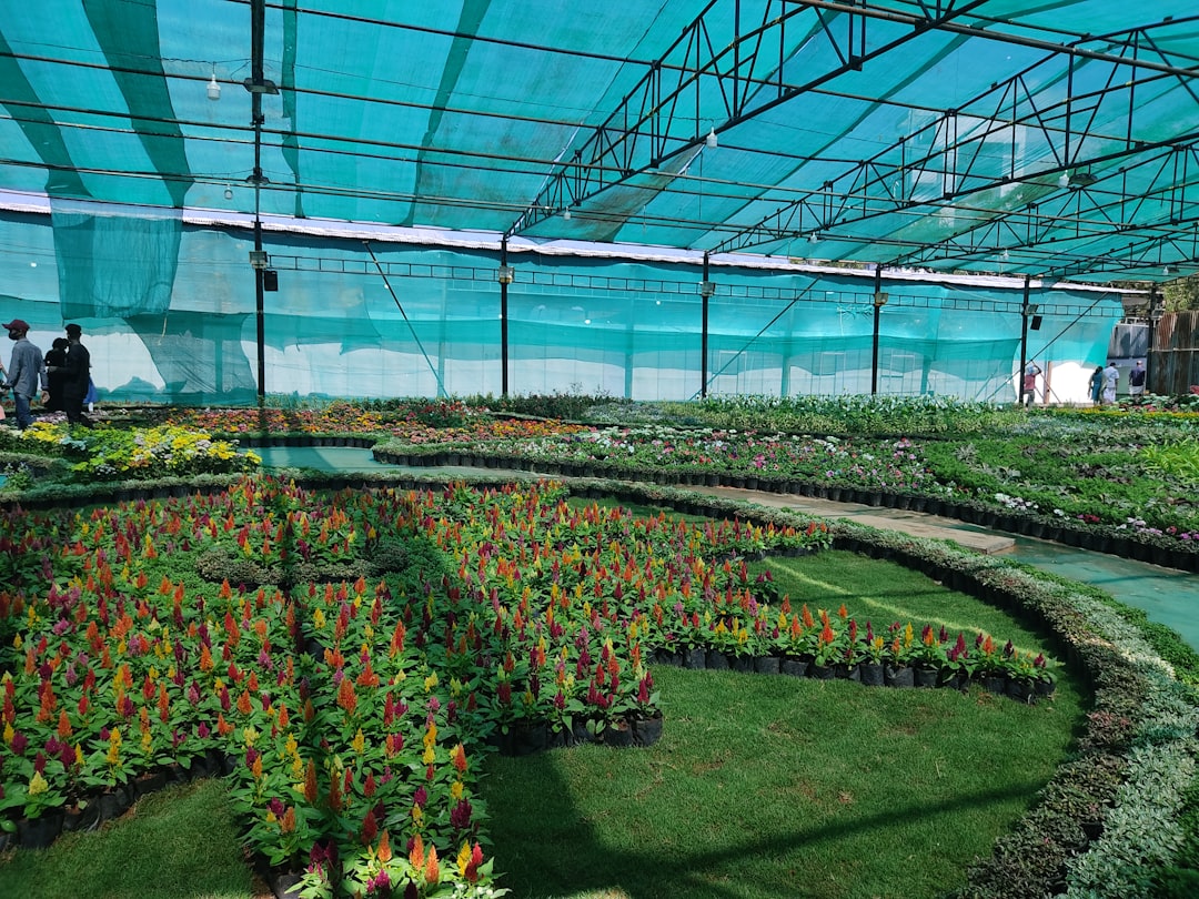 programme de certificat en horticulture domestique : maîtrisez les techniques de jardinage chez soi pour un espace vert réussi et épanouissant.