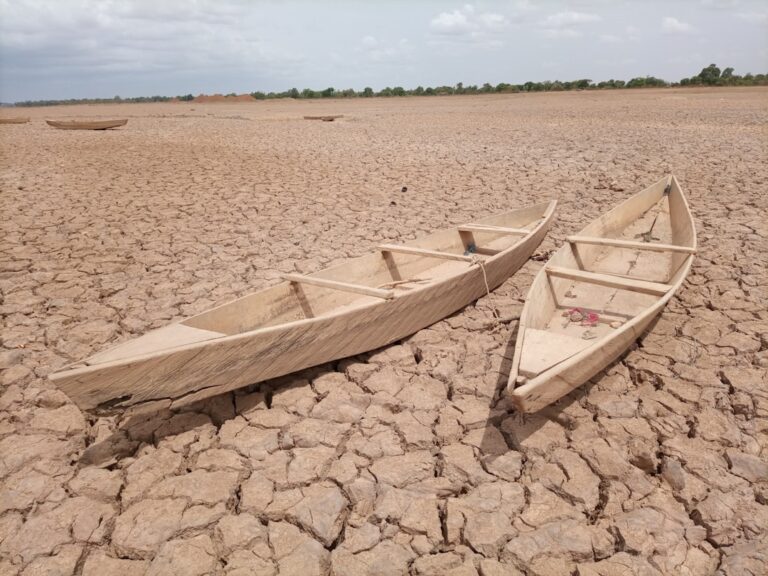 découvrez les causes, impacts et solutions liées à la sécheresse, un phénomène climatique majeur affectant l'environnement et l'agriculture.