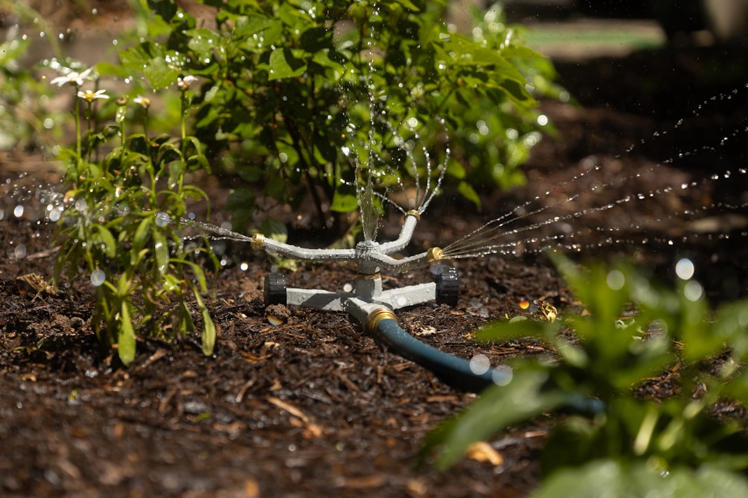 solutions d'arrosage résistantes à la sécheresse pour préserver vos plantes et économiser l'eau efficacement.