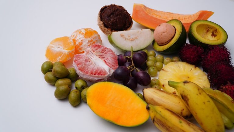 découvrez des fruits résistants à la sécheresse, idéals pour les jardins et vergers dans les régions arides. cultivez des variétés robustes et économisez l'eau tout en profitant de récoltes savoureuses.