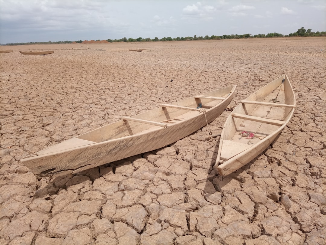 découvrez les causes, impacts et solutions liées à la sécheresse, un phénomène climatique majeur affectant l'environnement et l'agriculture.