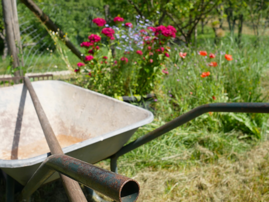 découvrez des conseils pratiques et durables pour un jardinage écologique, respectueux de l'environnement et facile à adopter au quotidien.