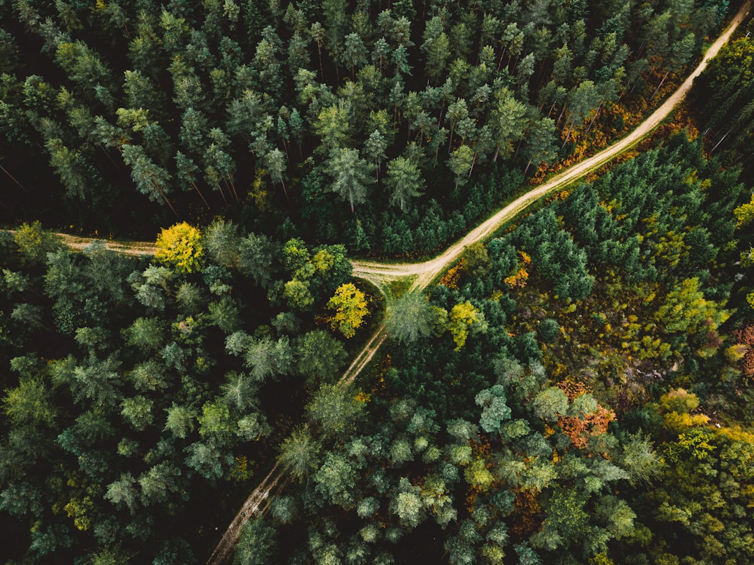 découvrez l'écologie : l'étude des interactions entre les êtres vivants et leur environnement pour préserver la biodiversité et promouvoir un développement durable.