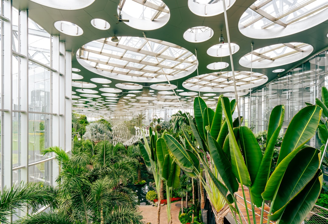 découvrez notre jardin pédagogique, un espace éducatif où apprendre en s'amusant au contact de la nature.