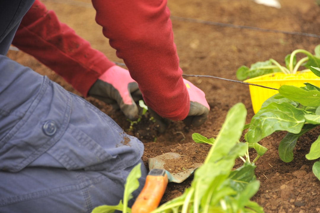 découvrez le jardinage éducatif, une méthode ludique pour apprendre la nature, la botanique et le développement durable tout en s'amusant en famille ou à l'école.