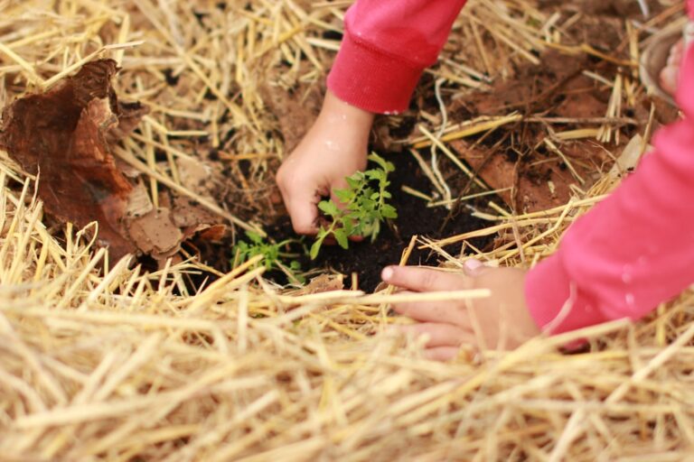 découvrez le jardinage éducatif : une méthode ludique et pédagogique pour apprendre la nature, développer des compétences pratiques et sensibiliser à l'environnement.