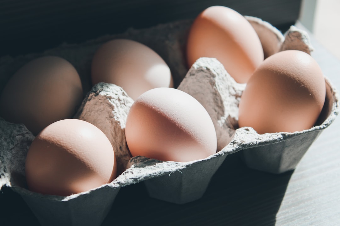 découvrez tout sur les coquilles d'œufs : leurs utilisations, avantages pour le jardin et astuces écologiques pratiques.