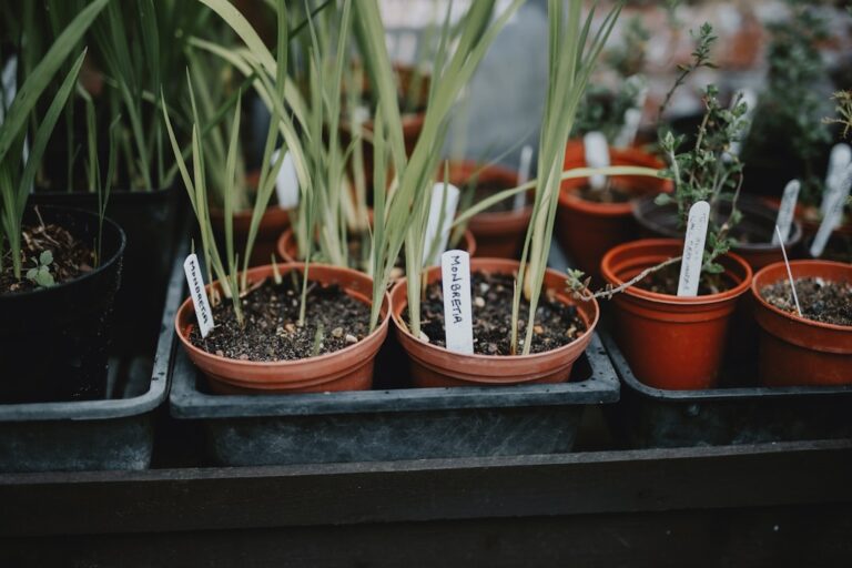 découvrez la controverse autour des tâches de jardinage attribuées aux employés : enjeux, opinions et impacts sur le lieu de travail.