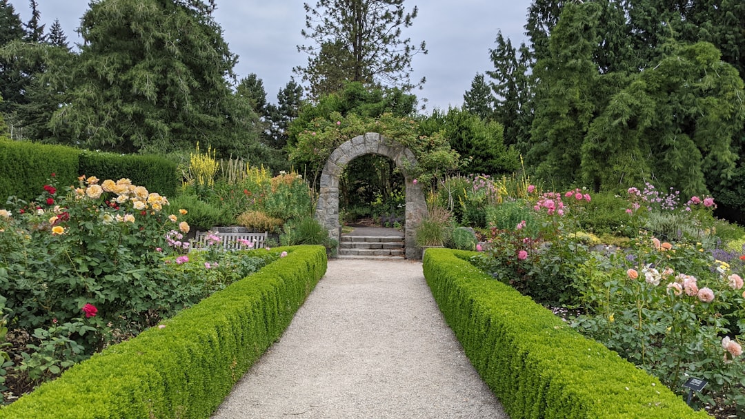 découvrez enchanted gardens, un paradis botanique où la magie de la nature prend vie à travers des paysages enchanteurs et des jardins luxuriants.