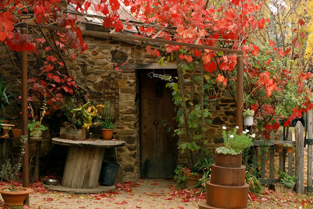 découvrez les tendances de jardinage pour l'automne et préparez votre espace extérieur avec les meilleures astuces et plantes de la saison.