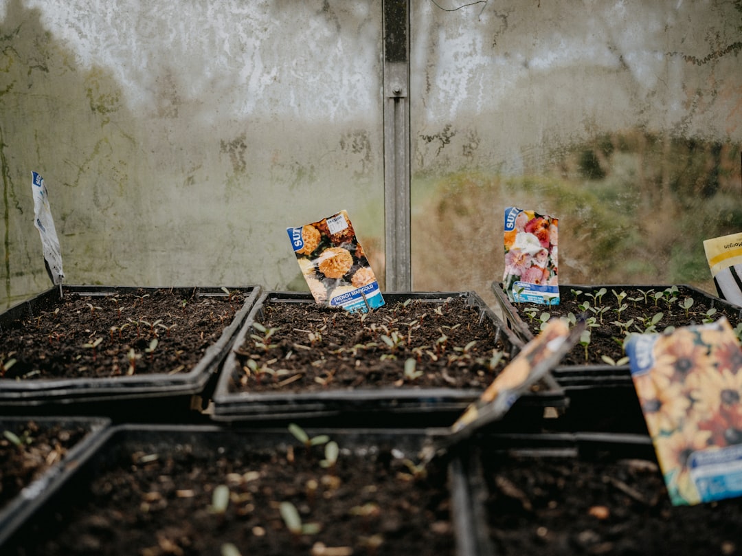 découvrez les tâches de jardinage à réaliser en février pour préparer votre jardin au printemps avec succès.