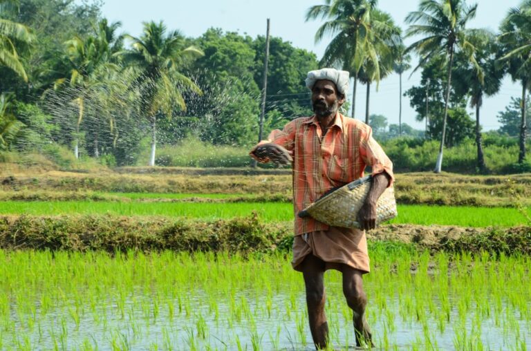 découvrez notre gamme d'engrais de haute qualité pour stimuler la croissance de vos plantes et optimiser vos récoltes. solutions adaptées à tous types de cultures.