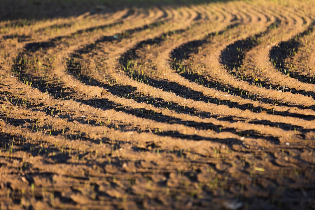 découvrez notre gamme d'engrais de haute qualité pour optimiser la croissance de vos plantes et améliorer la fertilité de votre sol.