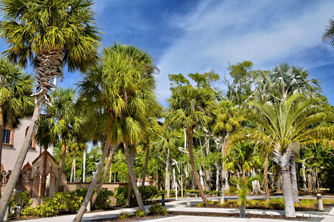 découvrez comment entretenir votre jardin en floride pendant l'hiver avec nos conseils pratiques pour un jardinage réussi toute l'année.