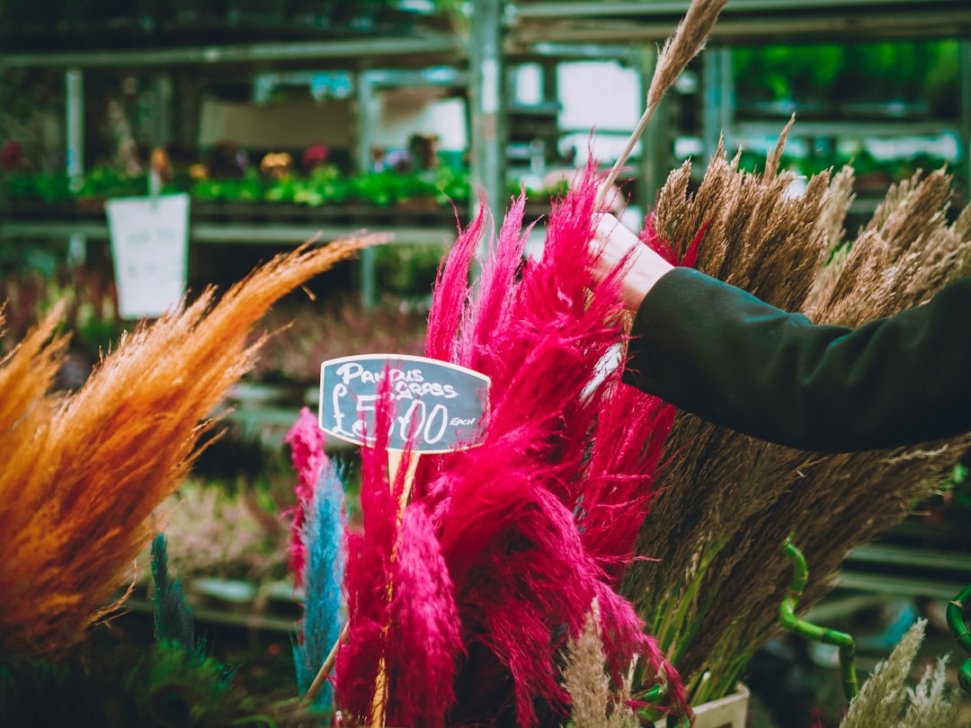 découvrez notre marché aux fleurs où vous trouverez une large variété de fleurs fraîches, plantes colorées et bouquets magnifiques pour toutes les occasions.