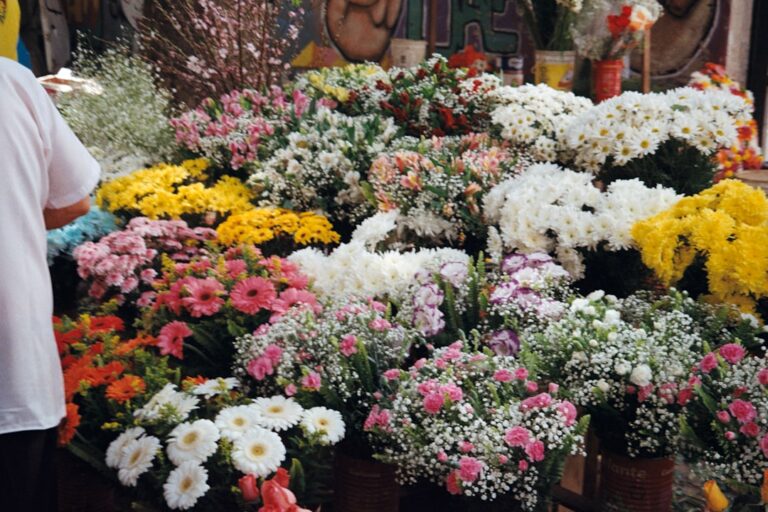 découvrez notre marché aux fleurs, un lieu vibrant où couleurs et fragrances se rencontrent pour embellir votre quotidien. fleurs fraîches, variétés uniques et conseils de spécialistes vous y attendent.