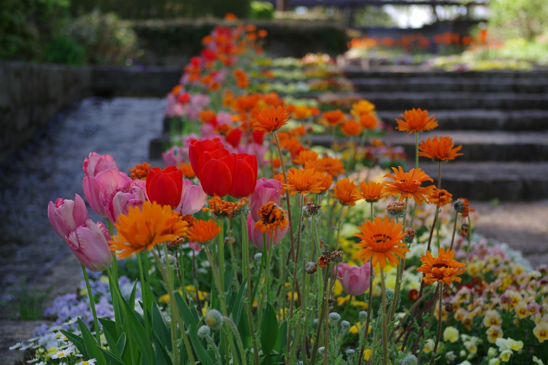 participez à notre concours de jardins fleuris et faites briller votre talent en horticulture. montrez votre créativité et remportez des prix exceptionnels !