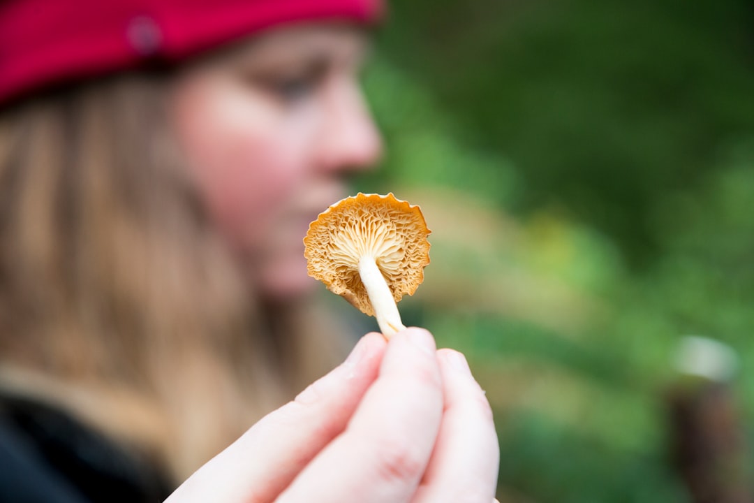 découvrez l'art de la cueillette à travers le foraging, une activité captivante qui vous connecte à la nature. apprenez à identifier et récolter des plantes comestibles, des baies et des champignons, tout en respectant l'écosystème. plongez dans cette aventure gourmande et durable pour enrichir vos repas avec des ingrédients frais et sains.