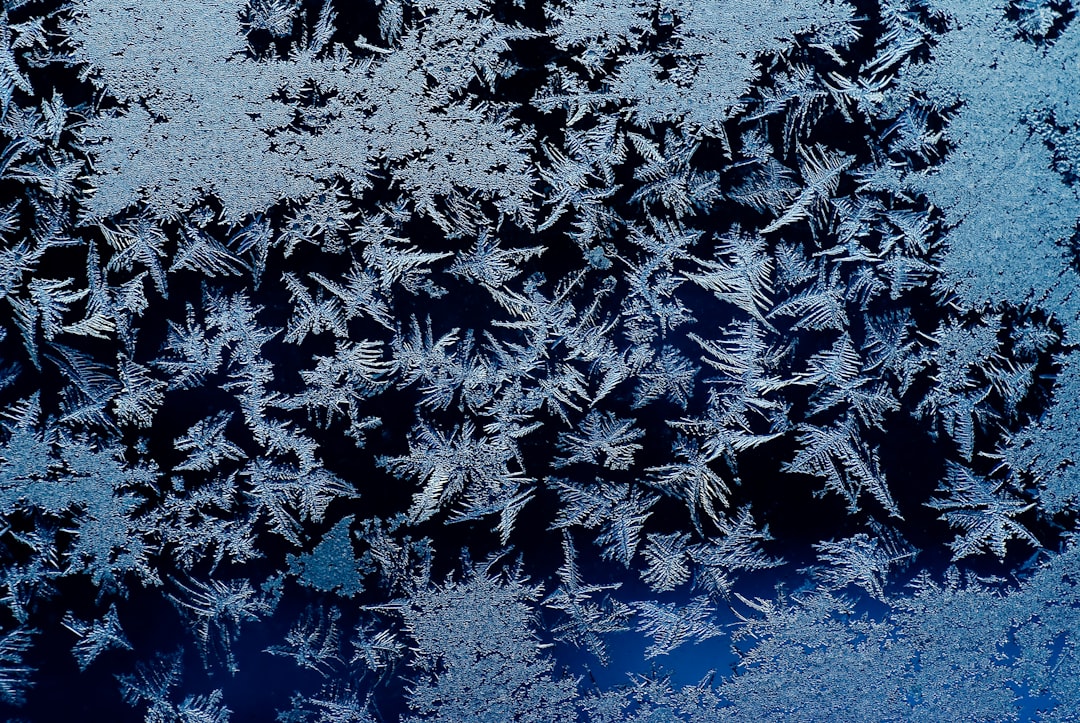 découvrez les merveilles de frost, un monde enchanteur où la magie de l'hiver prend vie. explorez nos conseils, astuces et inspirations pour profiter des plaisirs hivernaux dans une ambiance féérique.