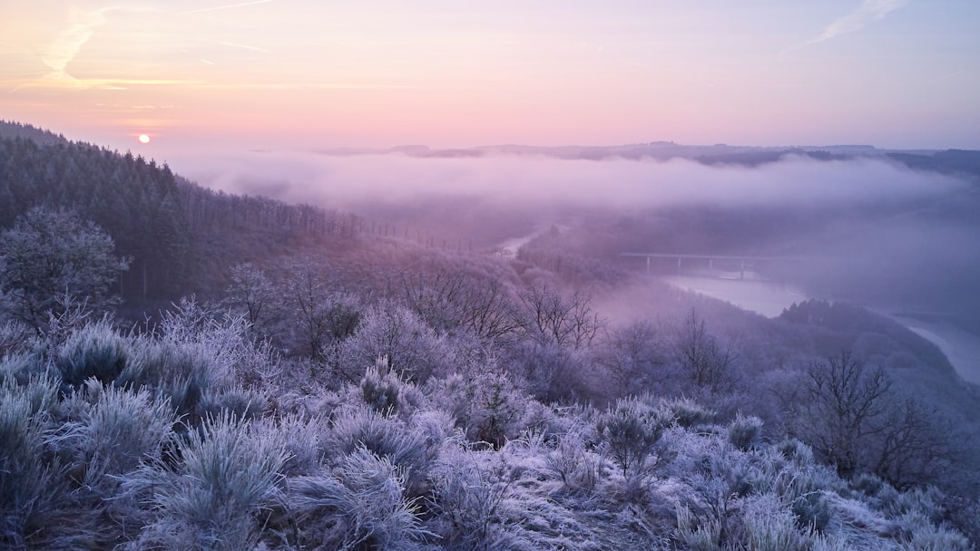 découvrez l'univers fascinant de frost : un mélange enivrant de magie et de mystère, où le froid rencontre la beauté. plongez dans une expérience inoubliable à travers des paysages enchanteurs et des récits captivants.