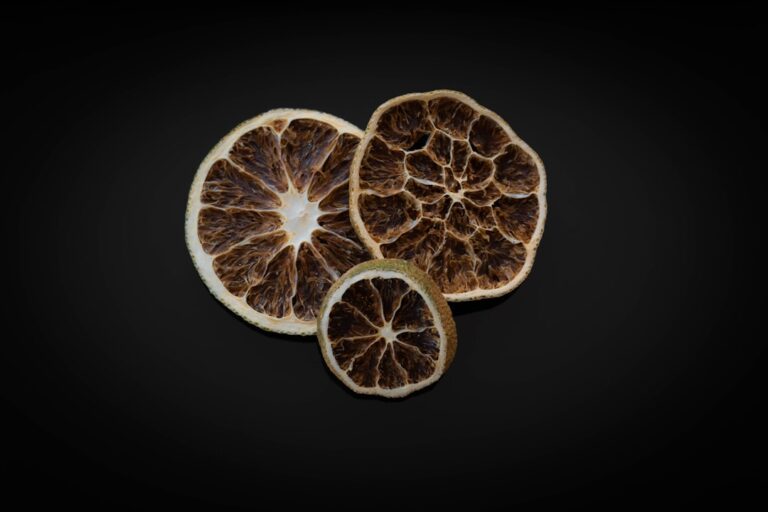 découvrez les meilleures méthodes de conservation des fruits pour préserver leur fraîcheur, saveur et valeur nutritionnelle plus longtemps.