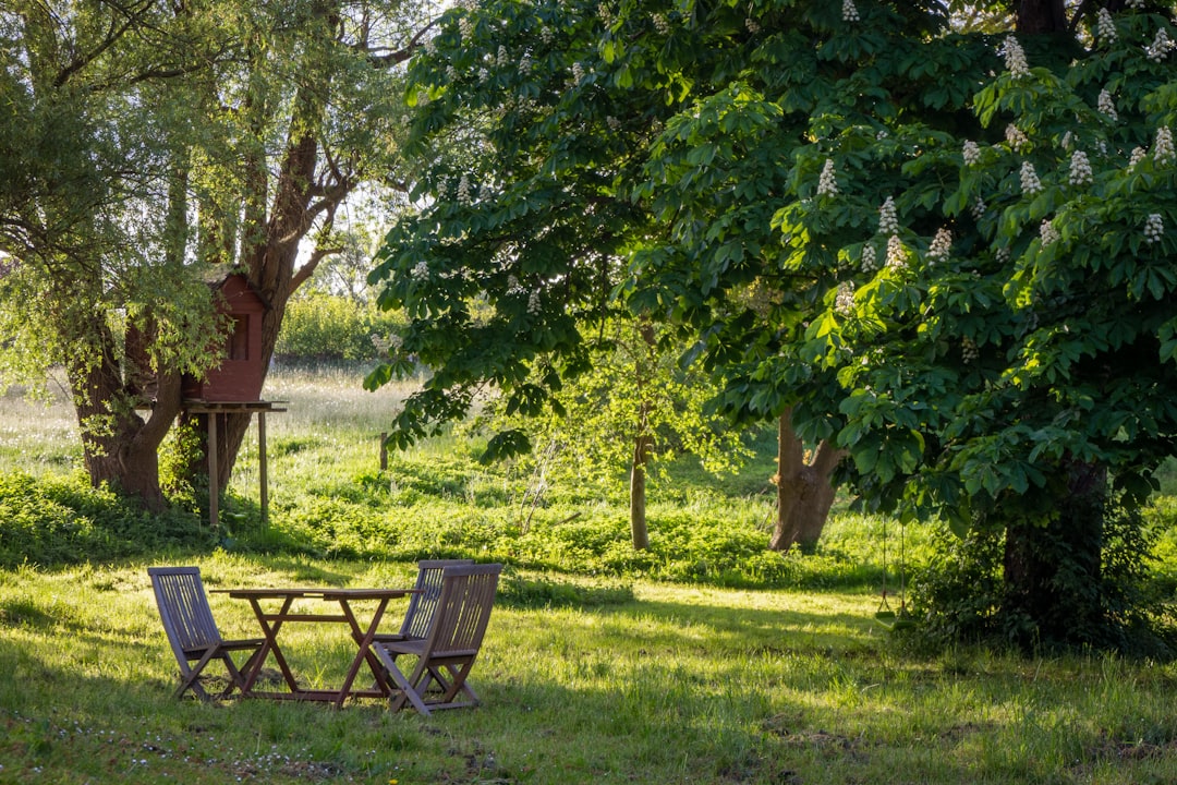 découvrez notre guide complet sur les jardins : conseils d'aménagement, astuces de jardinage, choix de plantes et inspiration pour créer un espace extérieur accueillant et magnifique. transformez votre jardin en un véritable havre de paix !