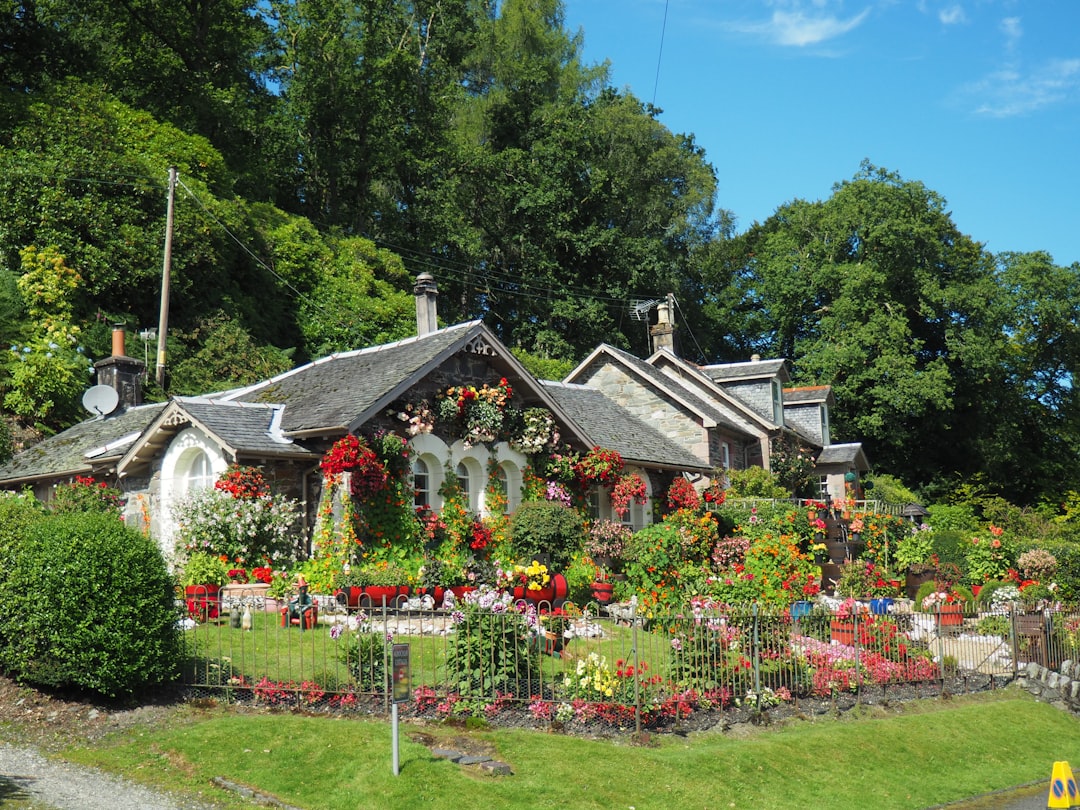 découvrez l'univers fascinant du jardinage avec nos conseils pour créer un espace verdoyant et harmonieux. apprenez à cultiver vos plantes, fleurs et légumes dans un jardin qui reflète votre style et vous apporte sérénité.