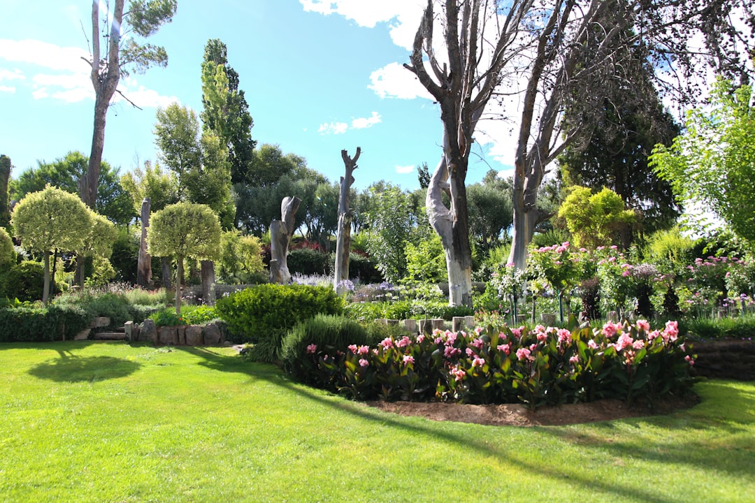 découvrez un monde verdoyant avec notre guide complet sur les jardins. inspirez-vous de nos conseils de jardinage, des astuces pour embellir vos espaces extérieurs, et explorez la diversité des plantes pour créer un havre de paix chez vous.