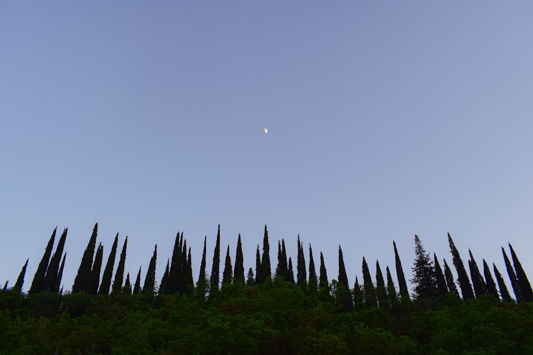 découvrez notre sélection de jardineries, où vous trouverez tout le nécessaire pour transformer votre jardin en un véritable havre de paix. plantes, outils, conseils d'experts et plus encore vous attendent pour embellir votre espace extérieur.