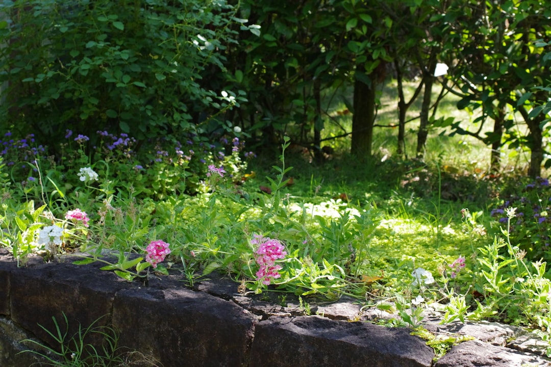 découvrez nos sabots de jardin confortables et résistants, parfaits pour vos travaux en extérieur et la protection de vos pieds.