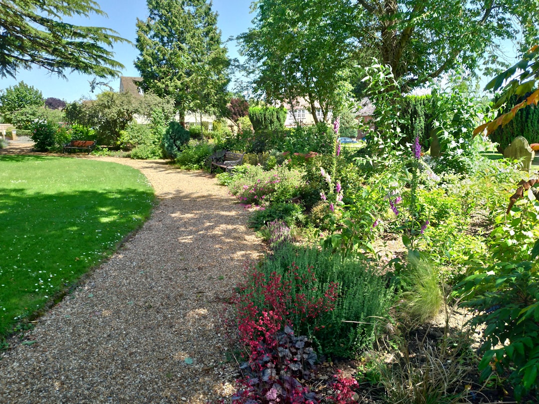 découvrez des idées innovantes et inspirantes pour le design de jardin, alliant esthétique et fonctionnalité pour créer un espace extérieur unique.