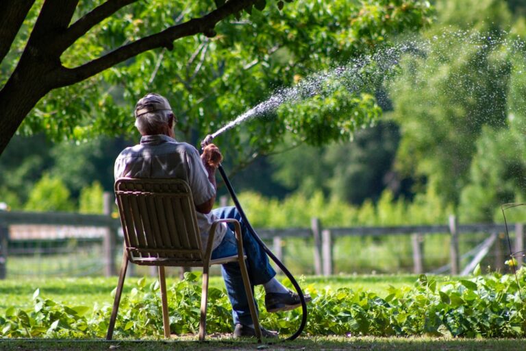 découvrez des solutions efficaces pour le traitement des maladies du jardin et protégez vos plantes pour un espace vert sain et florissant.