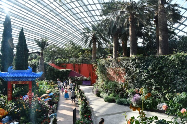 découvrez garden expo, l'événement incontournable pour les passionnés de jardinage avec des conseils d'experts, des nouveautés et des inspirations pour votre espace vert.