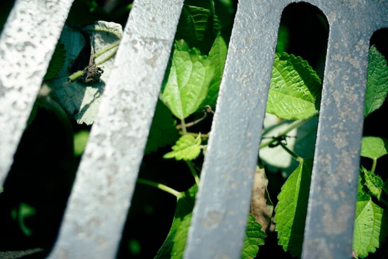 fourches de jardin robustes et ergonomiques, idéales pour retourner la terre, aérer le sol et faciliter vos travaux de jardinage avec efficacité.