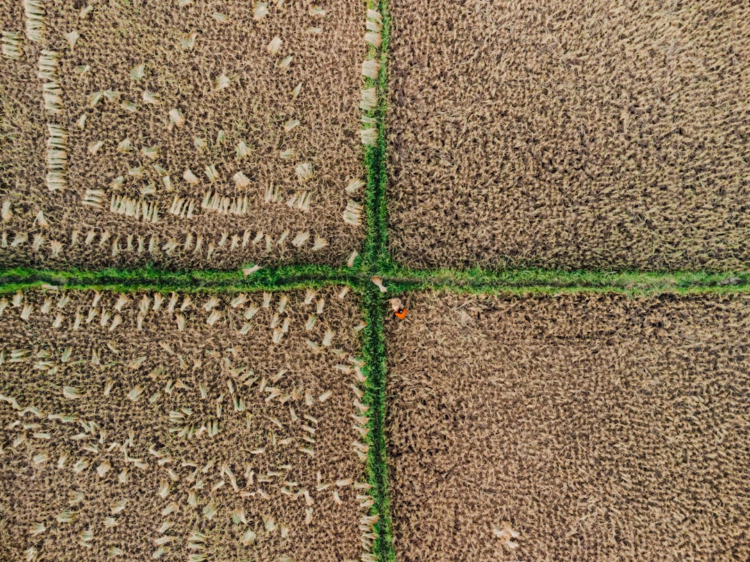découvrez notre grille de jardin pratique et durable, idéale pour structurer vos plantations et embellir votre espace extérieur.