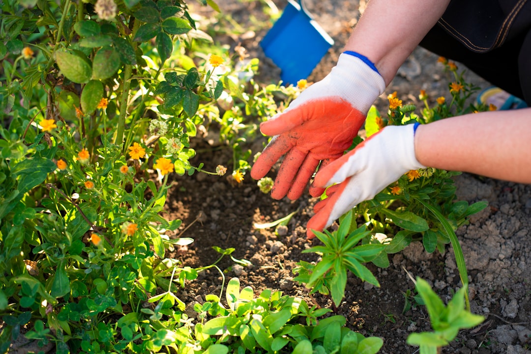 services d'entretien de jardin professionnels pour un espace extérieur propre, sain et esthétique tout au long de l'année.