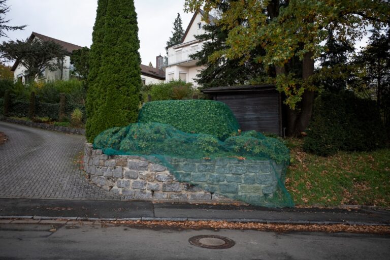 préparez votre jardin pour toutes les saisons avec nos conseils pratiques et astuces pour un sol fertile et un aménagement réussi.