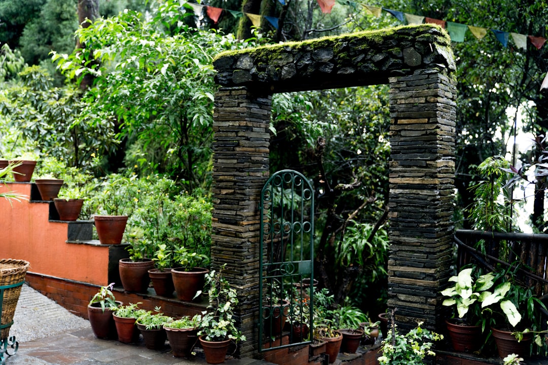 découvrez nos résolutions pour un jardin épanoui : astuces, conseils et idées pour cultiver un espace vert harmonieux toute l'année.