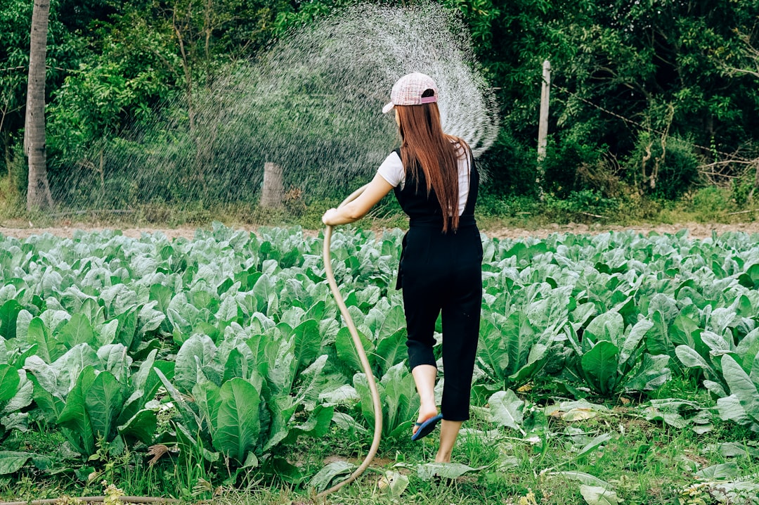 découvrez nos conseils essentiels pour arroser votre jardin efficacement et garder vos plantes en pleine santé toute l'année.