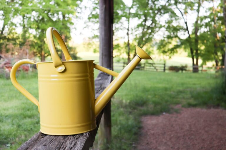 découvrez nos conseils essentiels pour arroser efficacement votre jardin et garantir la santé de vos plantes tout au long de l'année.
