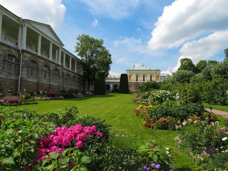 découvrez garden center revival, votre destination incontournable pour tout ce qui concerne le jardinage, avec des conseils experts, des plantes variées et des équipements de qualité pour revitaliser votre espace extérieur.