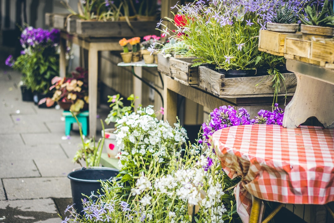 découvrez notre marché aux puces de jardin, un lieu convivial pour chiner des objets uniques, des décorations d'extérieur et des trouvailles originales.