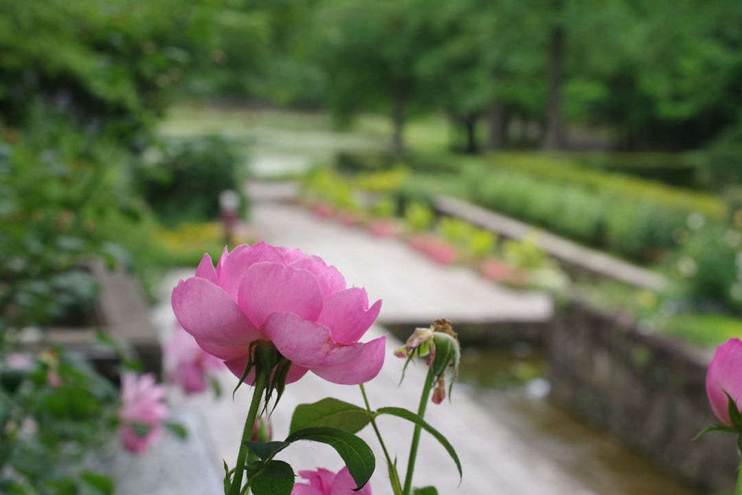 découvrez notre guide complet du jardinage pour créer et entretenir un jardin magnifique toute l'année.