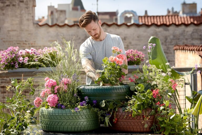 découvrez nos conseils et astuces pour le gardening : entretien du jardin, choix des plantes, outils indispensables et idées d'aménagement extérieur. transformez votre espace vert facilement !